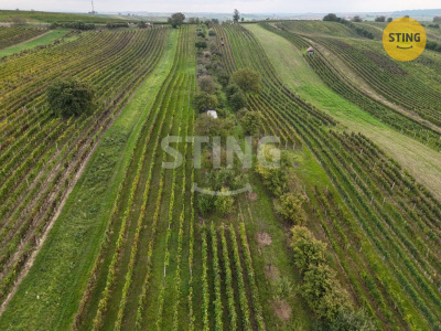 Pozemek, Čejkovice - fotografie č. 1