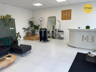 Komerční nemovitost, Hlučín - fotografie č. 1