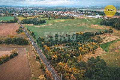 Zemědělský pozemek, Srnojedy - fotografie č. 1