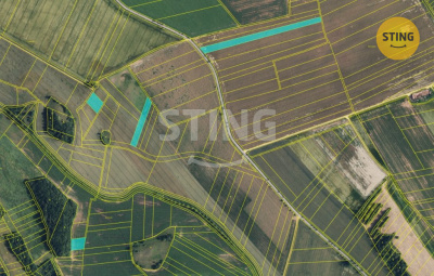 Zemědělský pozemek, Plumlov / Hamry - fotografie č. 1