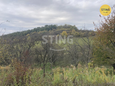 Pozemek, Koryčany / Blišice - fotografie č. 1