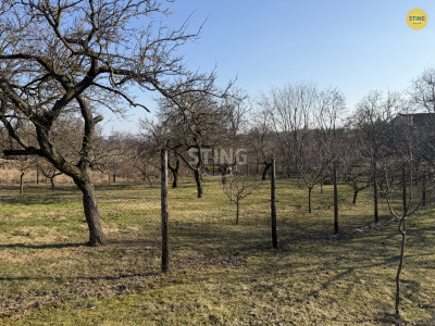 Pozemek, Miroslavské Knínice - fotografie č. 1