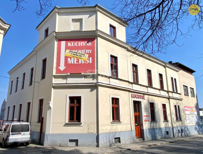 Komerční nemovitost, Opava / Předměstí - fotografie č. 1