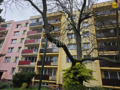 Byt 1+1, Opava / Kylešovice - fotografie č. 1