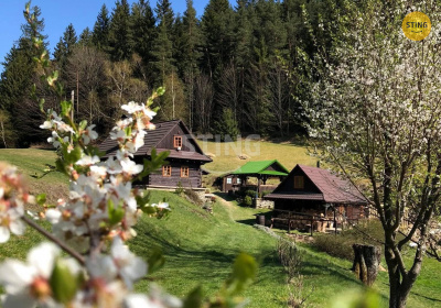 Rodinný dům, Hutisko-Solanec / Solanec pod Soláněm - fotografie č. 1