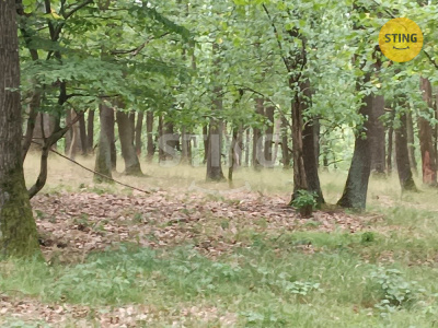 Pozemek, Morkůvky - fotografie č. 1