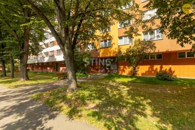 Byt 2+1, Ostrava / Hrabůvka - fotografie č. 1