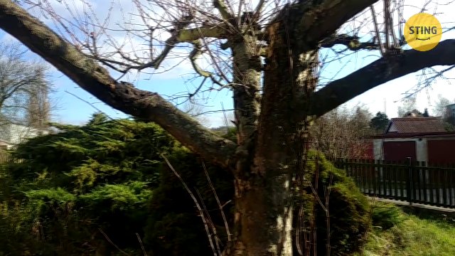 Rodinný dům, Jihlava / Antonínův Důl - video prohlídka