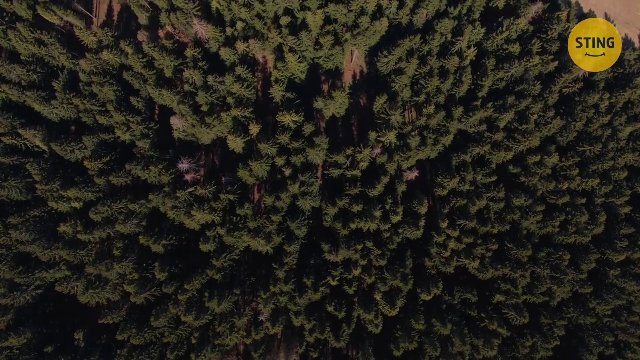 Rodinný dům, Zlaté Hory / Horní Údolí - video prohlídka