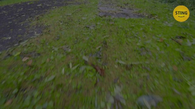 Rodinný dům, Rýmařov / Ondřejov - video prohlídka
