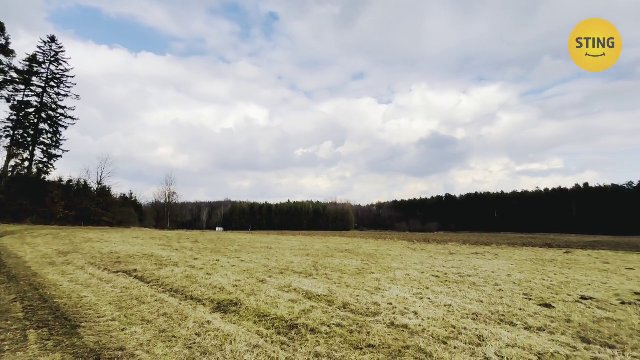 Stavební pozemek, Hošťalovice - video prohlídka