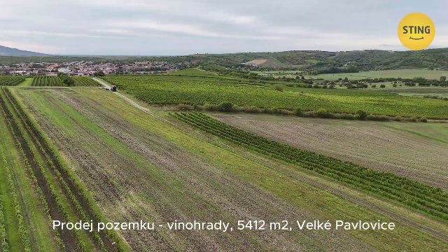 Pozemek na prodej, Velké Pavlovice