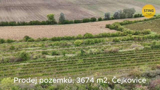 Zemědělský pozemek na prodej, Čejkovice