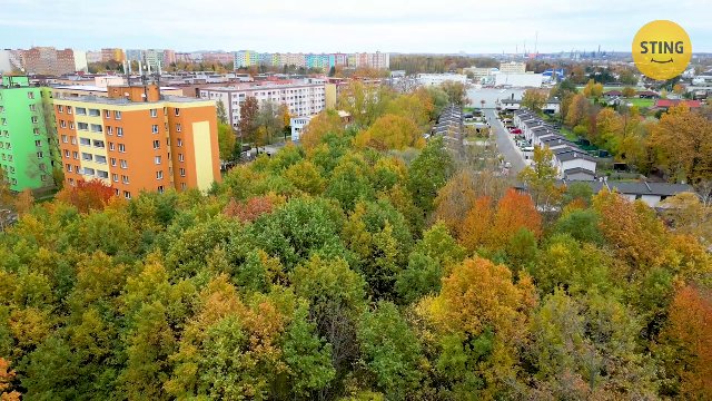 Byt 4+1 na prodej, Ostrava / Dubina, ulice Václava Košaře