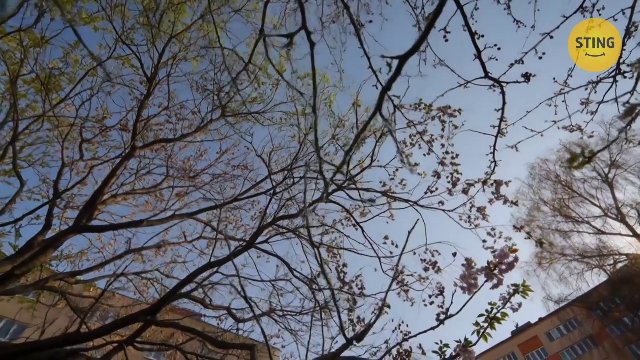 Byt 1+1 na prodej, Opava / Kateřinky, ulice Holasická